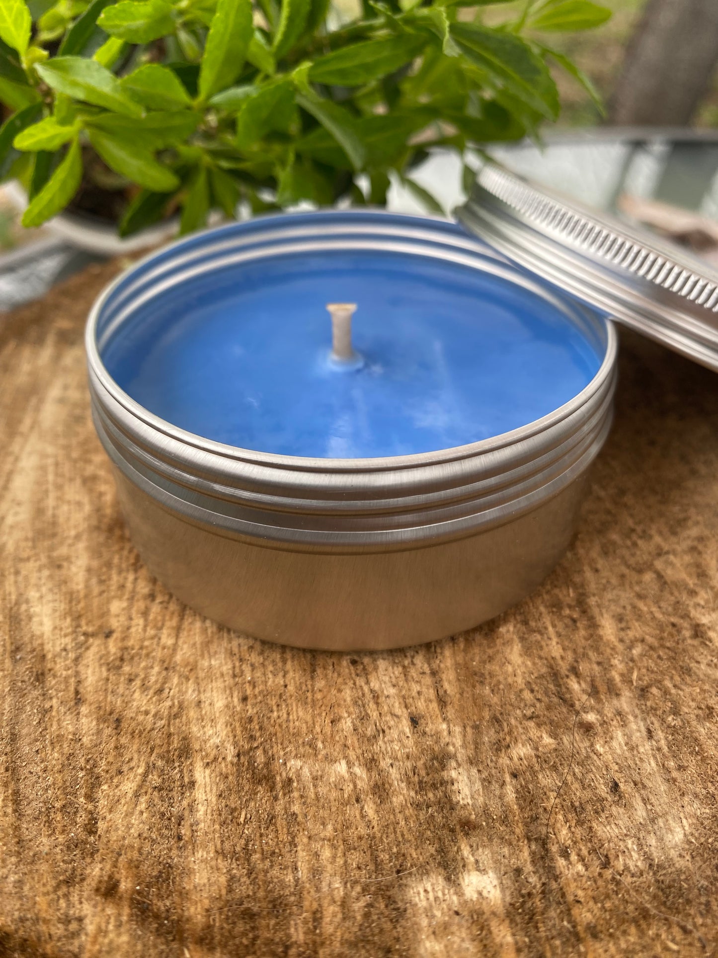 Sea Sorcerer - Rose, Blackcurrant & Marine Notes