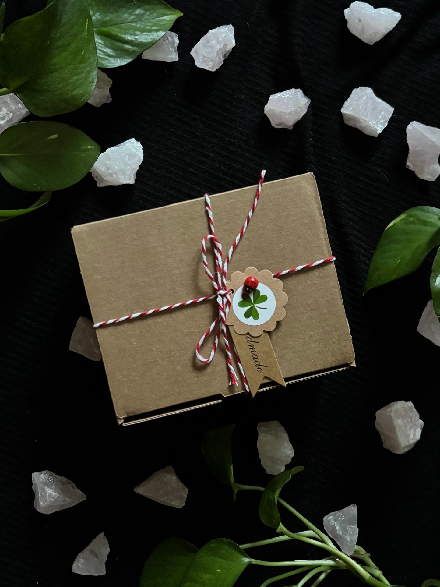 Spring Box