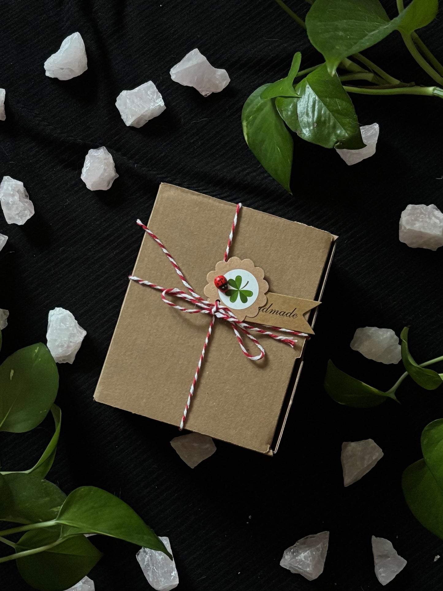 Spring Box