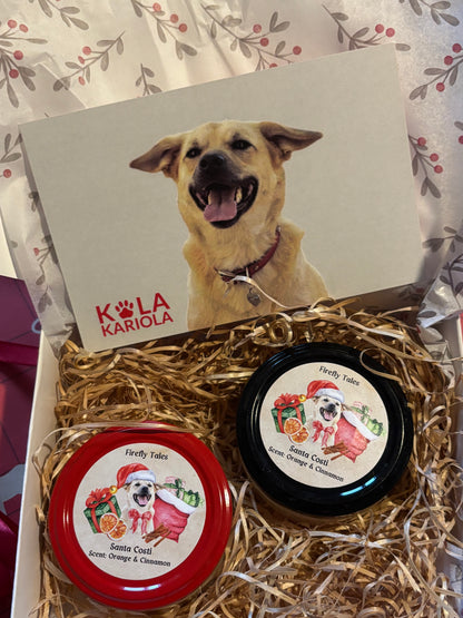 Costi’s Double Box + calendar birou