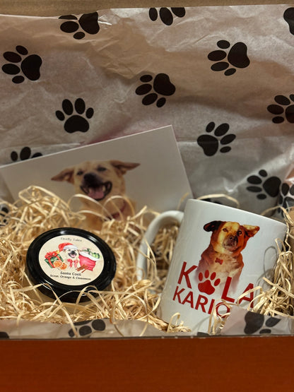 Cutie Costi cu cană