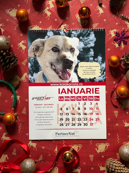 Calendarul lui Costi de perete 2026