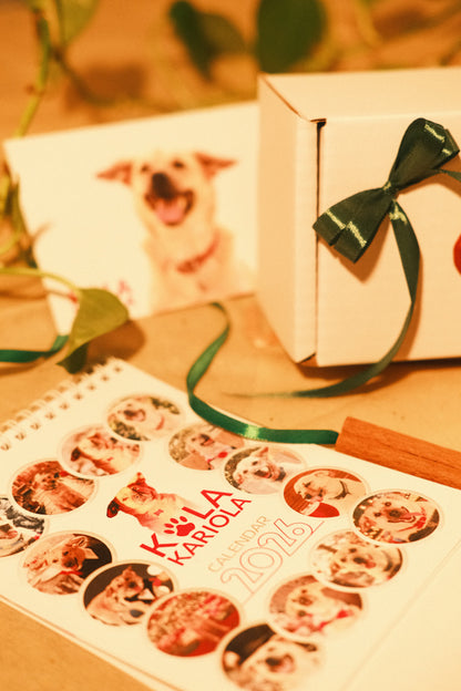 Costi’s Love Letter Box + calendar