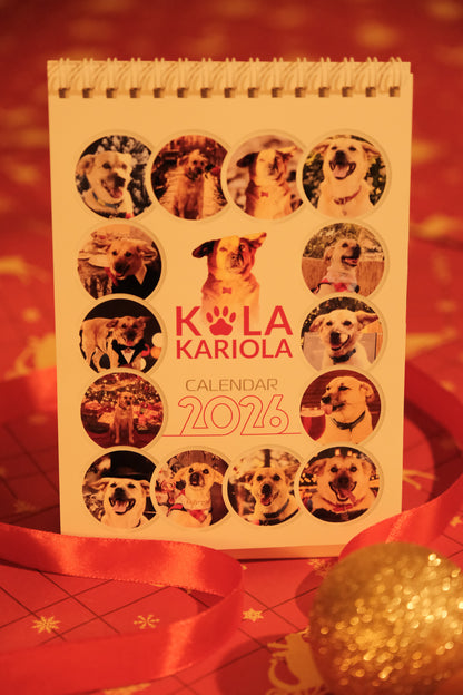 Costi’s Double Box + calendar birou