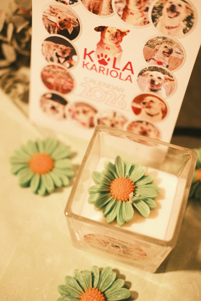 Costi’s Flower Bouquet Box + calendar