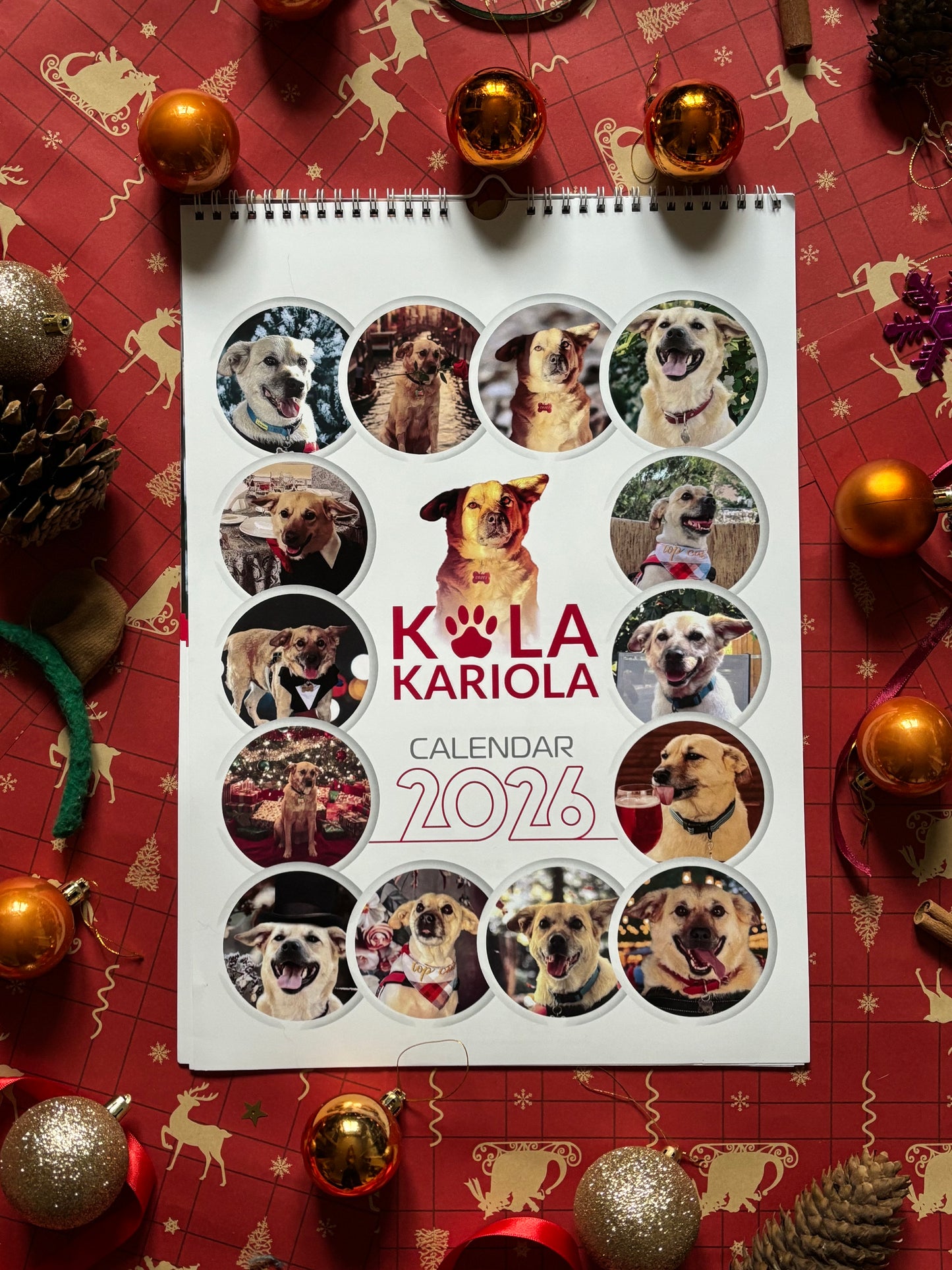 Calendarul lui Costi de perete 2026