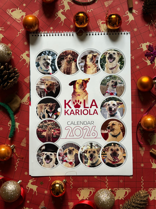 Calendarul lui Costi de perete 2026