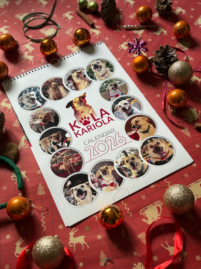 Calendarul lui Costi de perete 2026