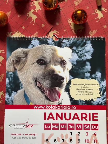 Calendarul lui Costi de perete 2026