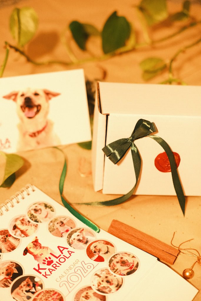 Costi’s Love Letter Box + calendar