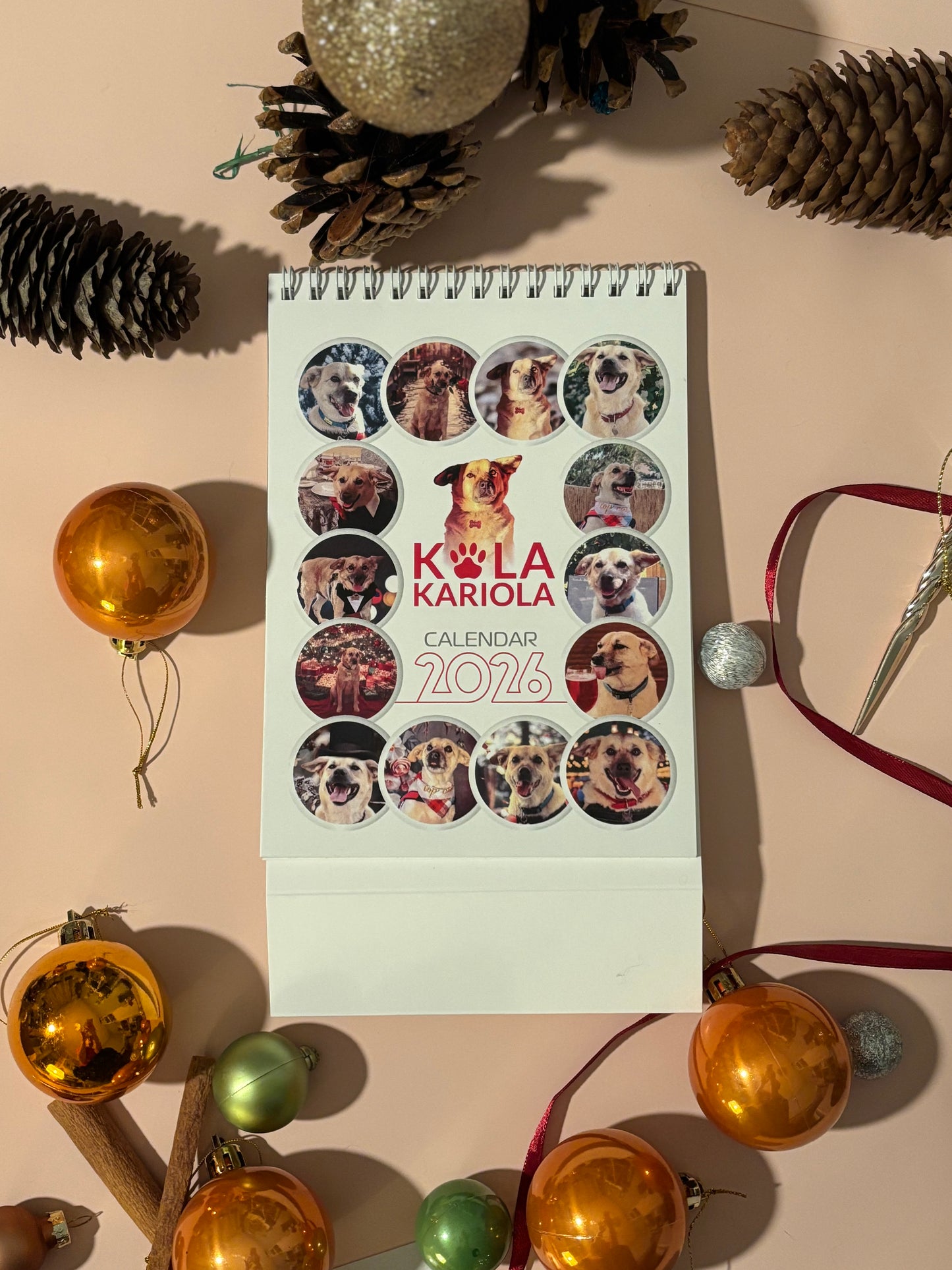 Calendarul lui Costi de birou 2026