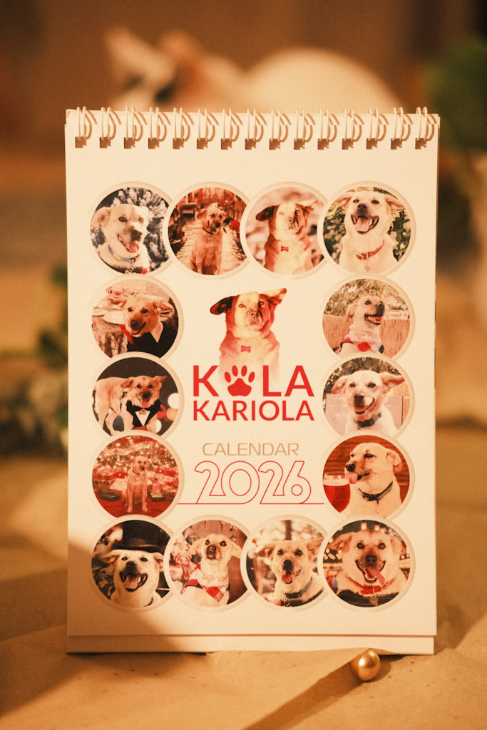 Costi’s Love Letter Box + calendar