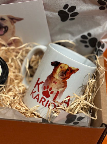 Cutie Costi cu cană