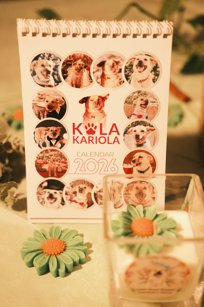 Costi’s Flower Bouquet Box + calendar