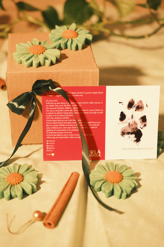 Costi’s Flower Bouquet Box + calendar