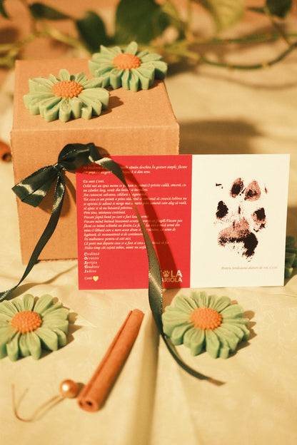 Costi’s Flower Bouquet Box + calendar