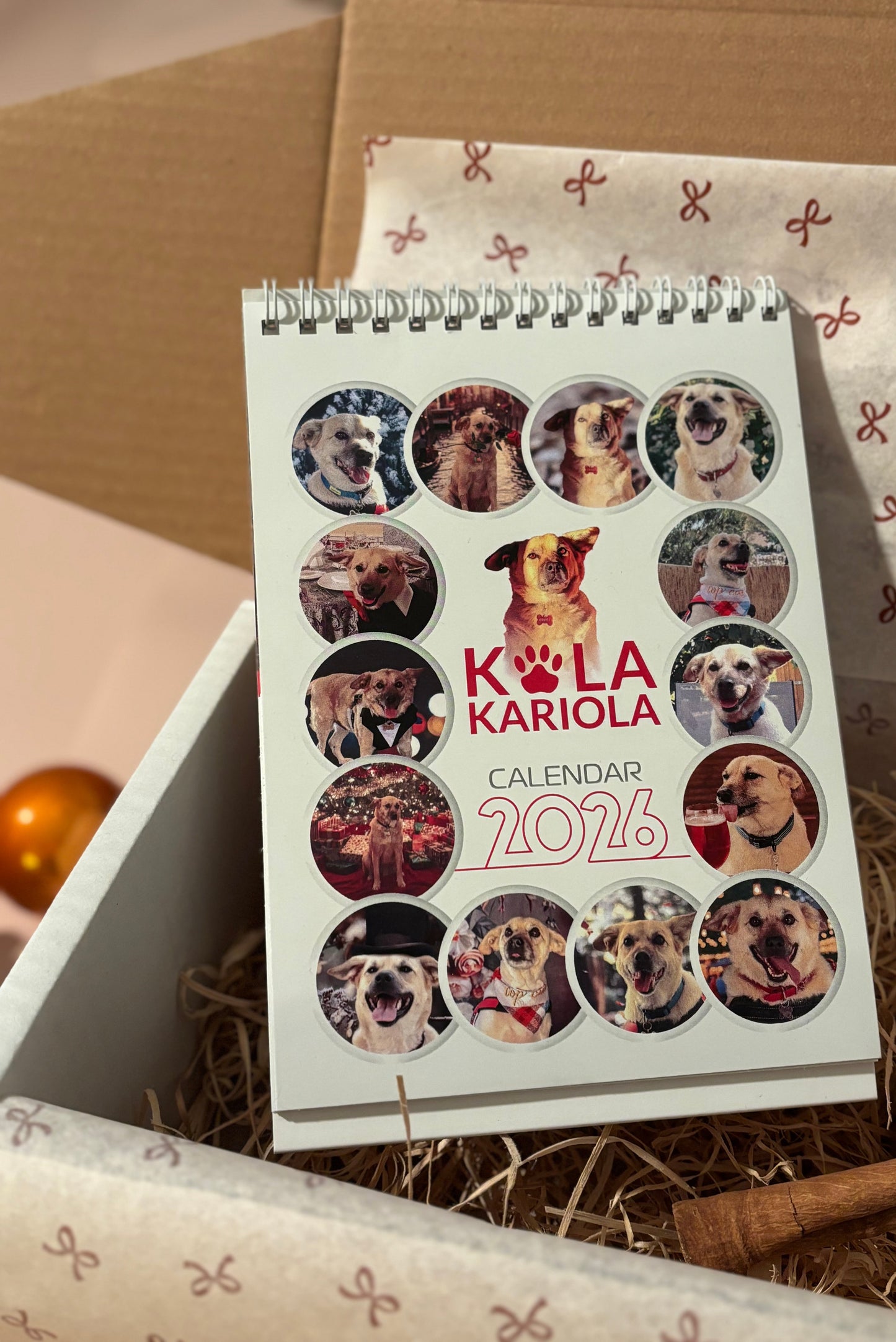 Calendarul lui Costi de birou 2026